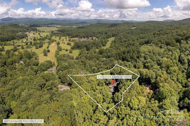 1270 Glen Cannon Dr, Pisgah Forest, NC 28768 - photo 27