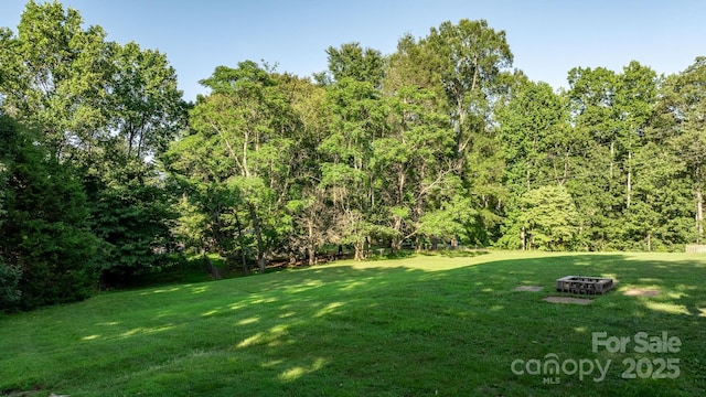 6554 Gw Carson Rd, Hickory, NC 28602 - photo 43