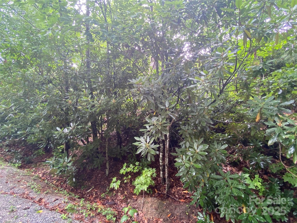 00000 Viking Trl, Hendersonville, NC 28739 - photo 2