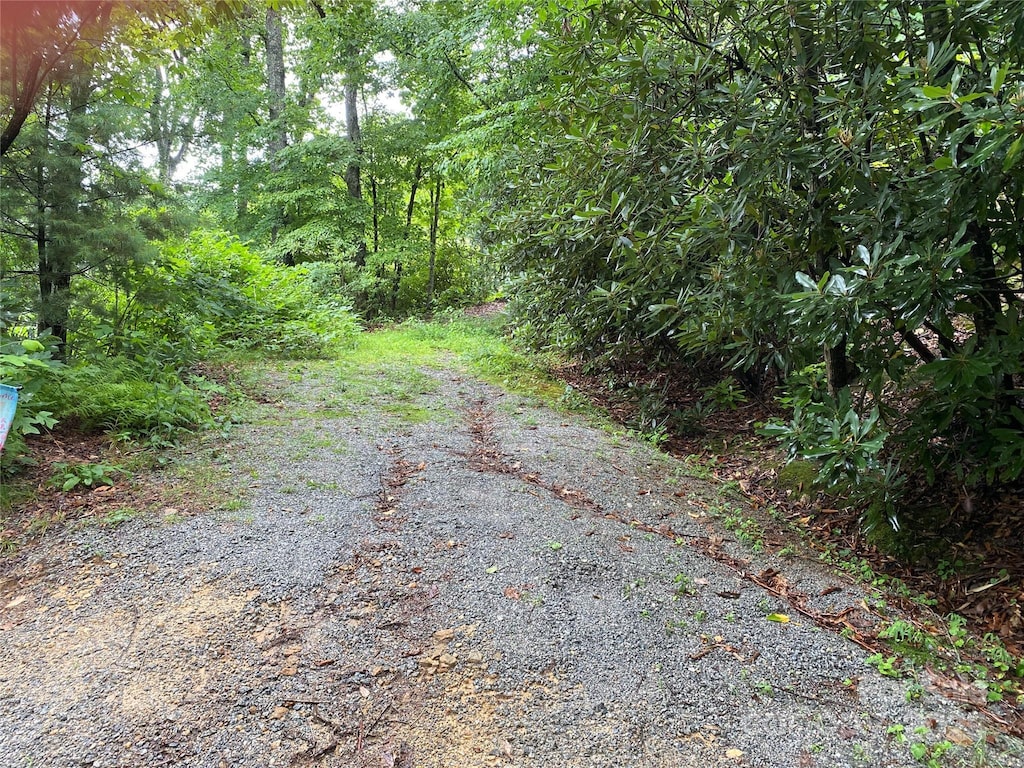 00000 Viking Trl, Hendersonville, NC 28739 - photo 3