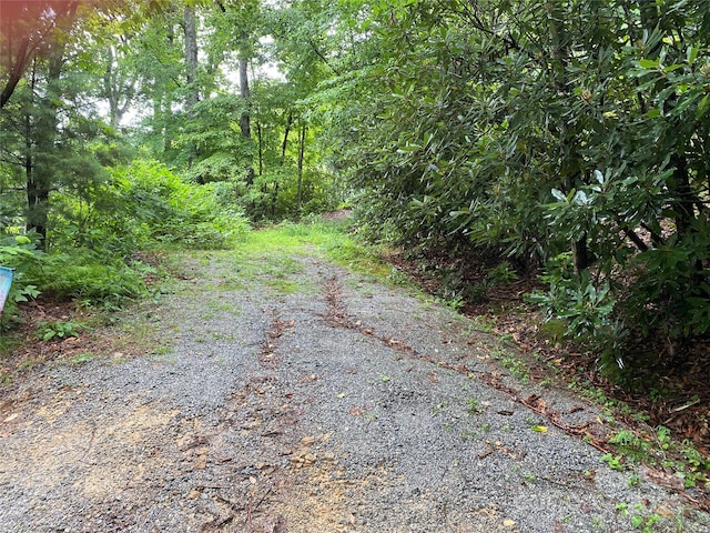 00000 Viking Trl, Hendersonville, NC 28739 - photo 3