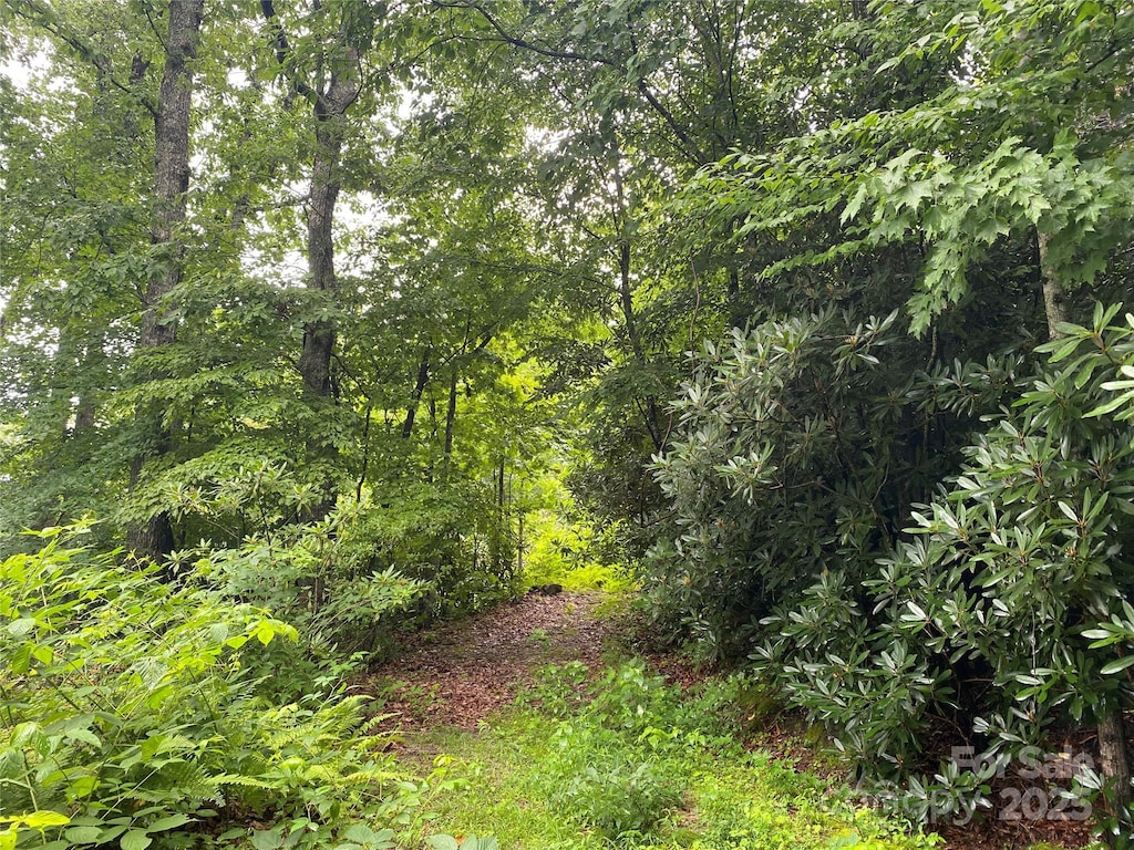00000 Viking Trl, Hendersonville, NC 28739 - photo 4