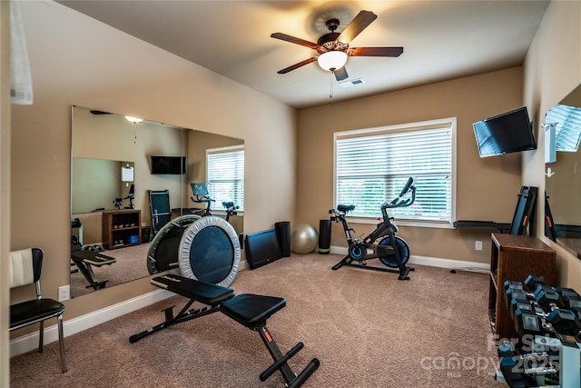 11915 Red Sorrell Ln, Huntersville, NC 28078 - photo 34