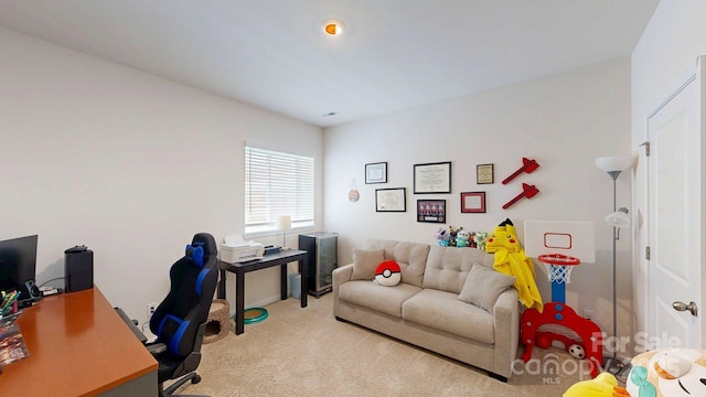 183 Marathon Ln, Candler, NC 28715 - photo 29