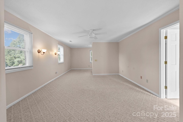 1202 Pineview St, Albemarle, NC 28001 - photo 38