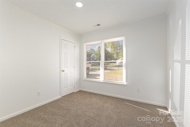 14806 Karina Falls Ct, Charlotte, NC 28273 - photo 10