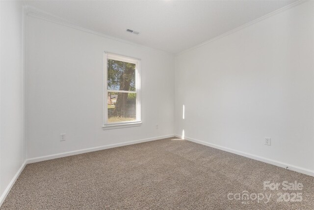14806 Karina Falls Ct, Charlotte, NC 28273 - photo 11