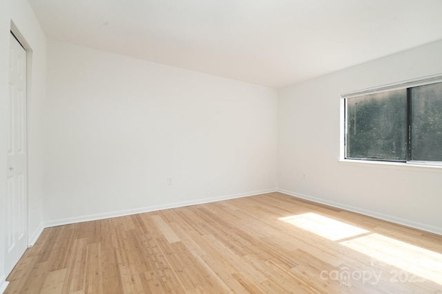 4900 Spring Lake Dr Unit D, Charlotte, NC 28212 - photo 18