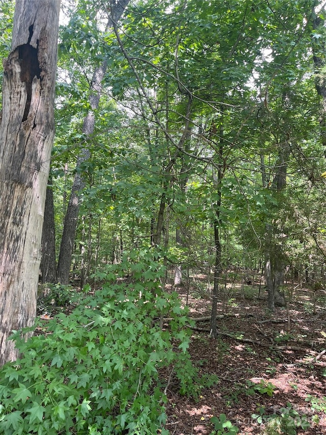 0 Monticello Rd, Albemarle, NC 28001 - photo 1