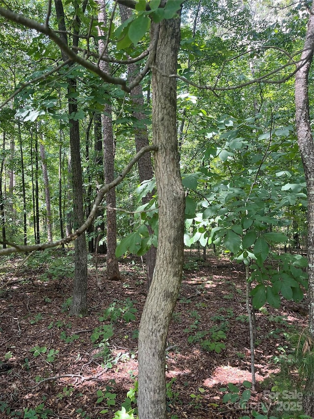 0 Monticello Rd, Albemarle, NC 28001 - photo 2