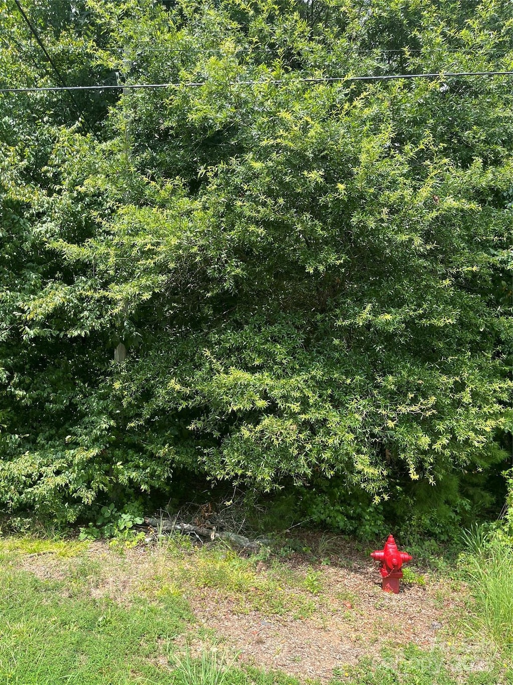 0 Monticello Rd, Albemarle, NC 28001 - photo 3