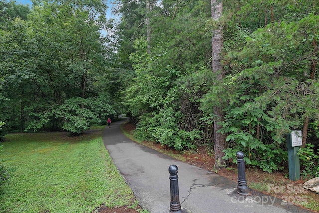 5 Farleigh St Unit 208, Asheville, NC 28803 - photo 36