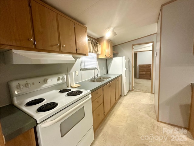 245 Berry Hill Rd, Spruce Pine, NC 28777 - photo 3