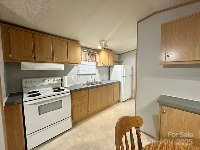 245 Berry Hill Rd, Spruce Pine, NC 28777 - photo 4
