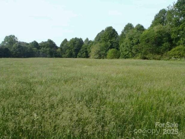 000 County Line Rd, Stony Point, NC 28634 - photo 3