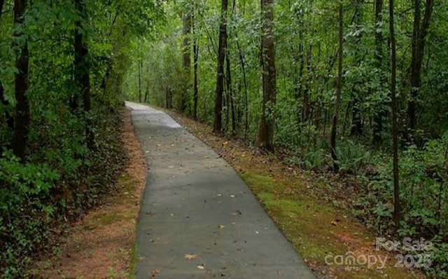 2810 Arsdale Rd, Waxhaw, NC 28173 - photo 38