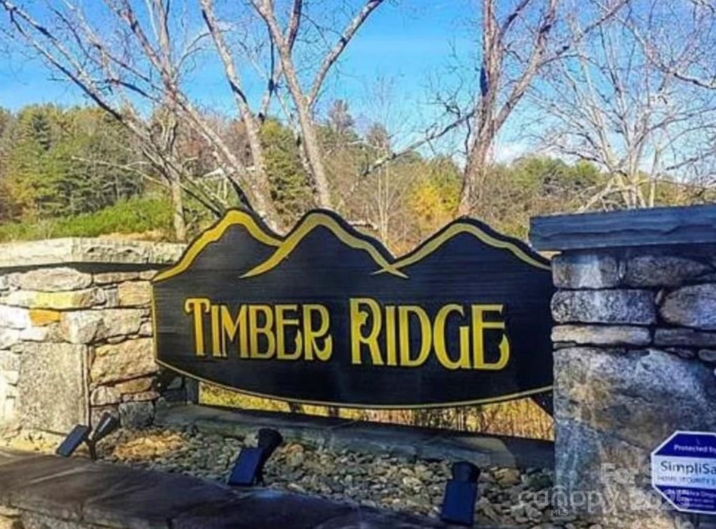 118 Timber Ridge Cir Unit 15, Leicester, NC 28748 - photo 1