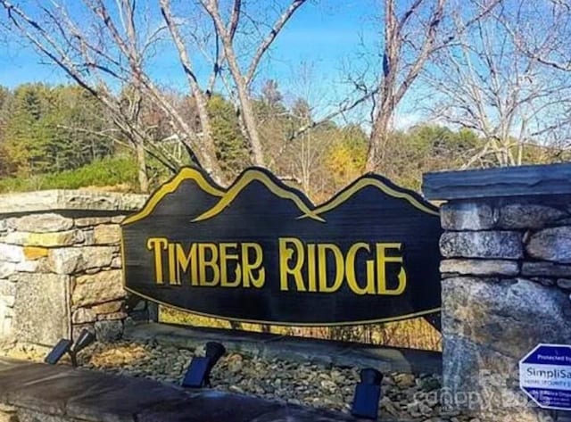 118 Timber Ridge Cir Unit 15, Leicester, NC 28748 - photo 1