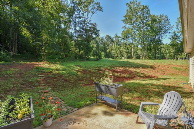 144 Bradford Ln, Statesville, NC 28625 - photo 28