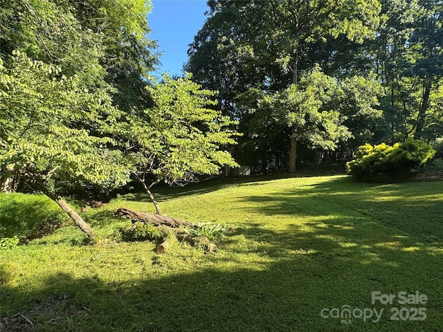 1336 Somersby Ln, Matthews, NC 28105 - photo 37