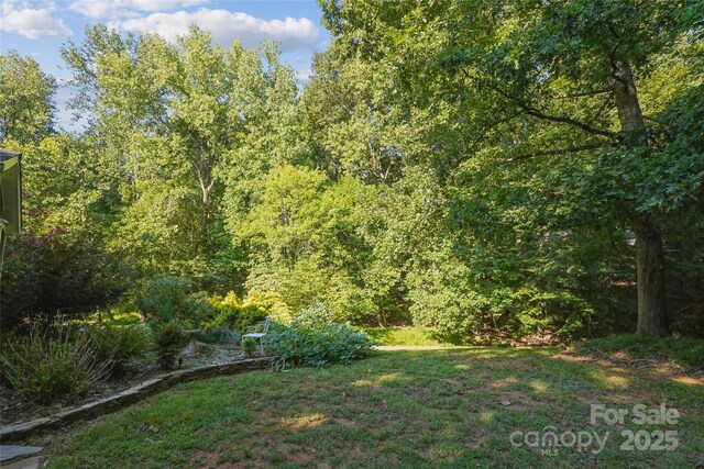 1336 Somersby Ln, Matthews, NC 28105 - photo 36