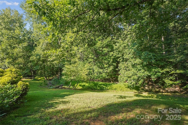 1336 Somersby Ln, Matthews, NC 28105 - photo 40