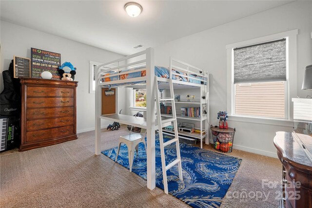 13020 Brooklyn Skylar Way, Huntersville, NC 28078 - photo 39
