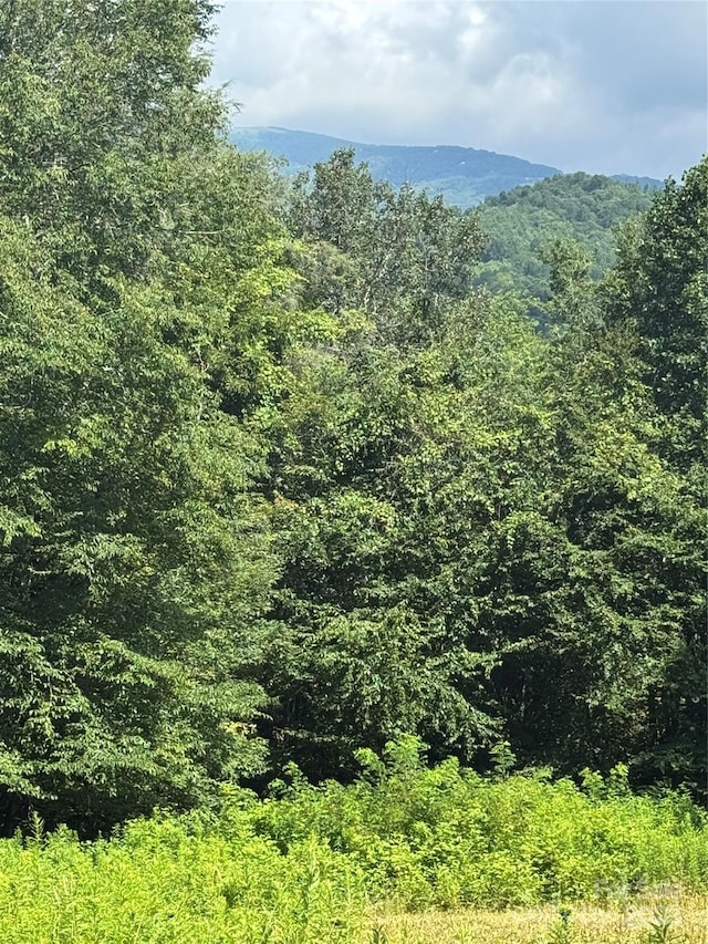TBD Little Squirrel Creek Rd, Newland, NC 28657 - photo 4