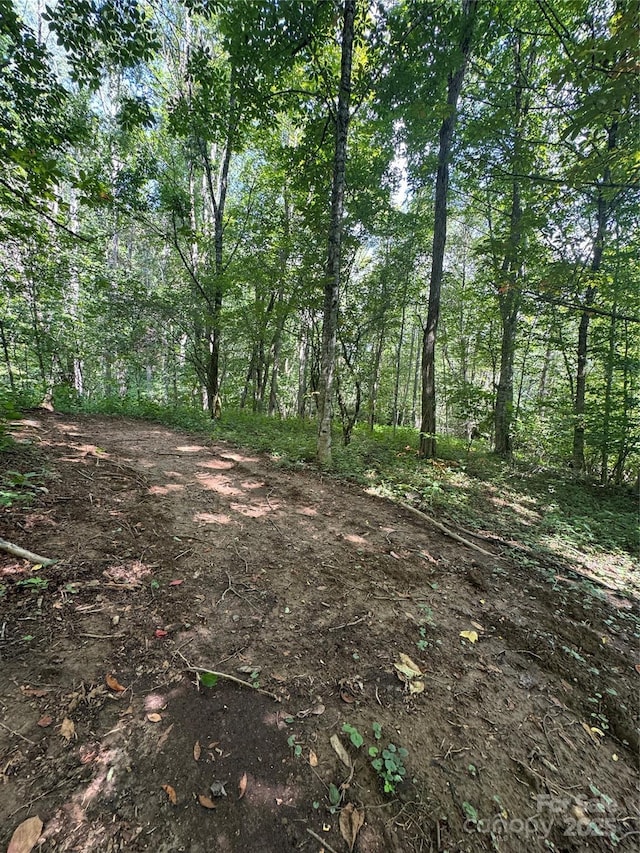 TBD Little Squirrel Creek Rd, Newland, NC 28657 - photo 6