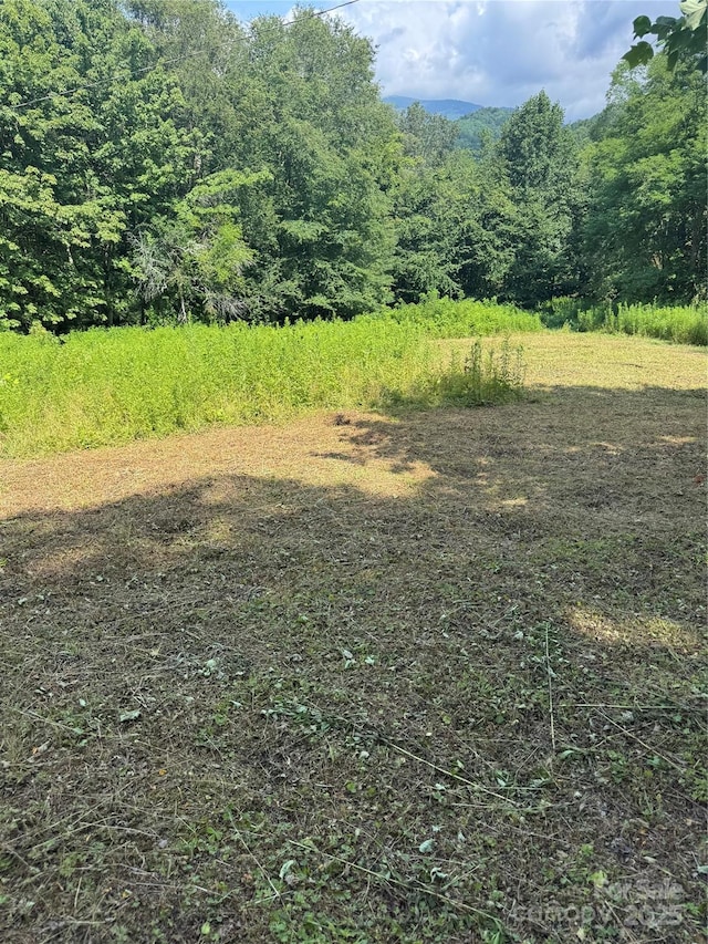 TBD Little Squirrel Creek Rd, Newland, NC 28657 - photo 10