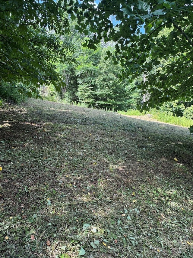 TBD Little Squirrel Creek Rd, Newland, NC 28657 - photo 11