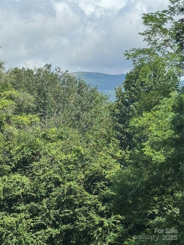 TBD Little Squirrel Creek Rd, Newland, NC 28657 - photo 12