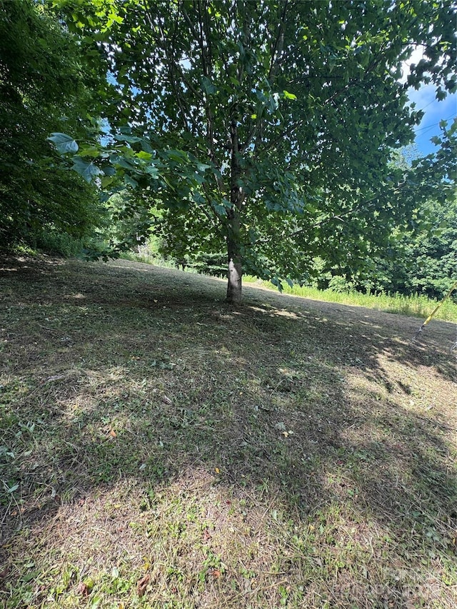 TBD Little Squirrel Creek Rd, Newland, NC 28657 - photo 13