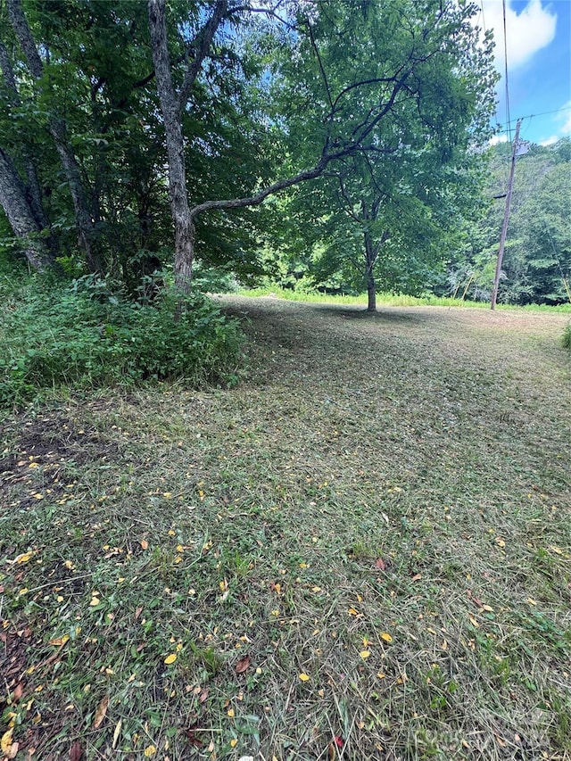 TBD Little Squirrel Creek Rd, Newland, NC 28657 - photo 14