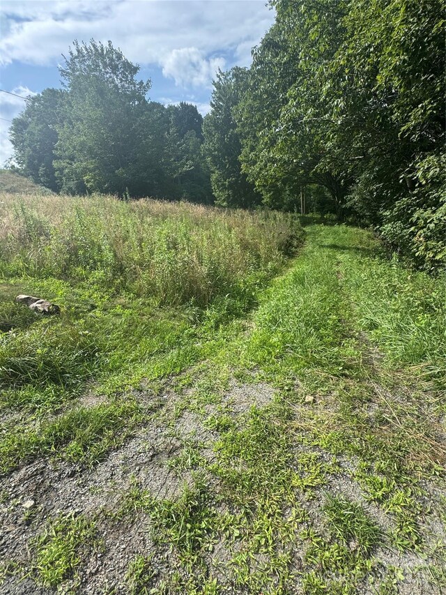 TBD Little Squirrel Creek Rd, Newland, NC 28657 - photo 17
