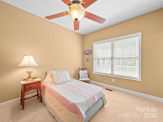 208 Catawba Crest Ln, Clover, SC 29710 - photo 28