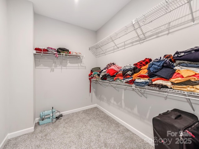 5098 Burnwald Ct, Fort Mill, SC 29715 - photo 28