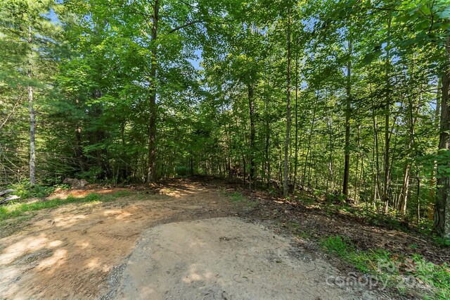 VL Horizon Drive, Nebo, NC 28761 - photo 4