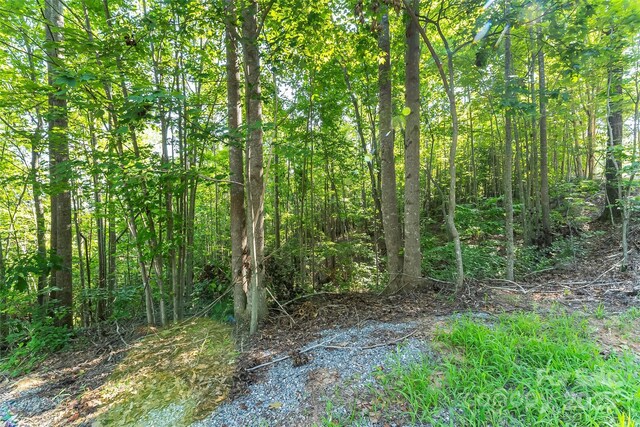 VL Horizon Drive, Nebo, NC 28761 - photo 5