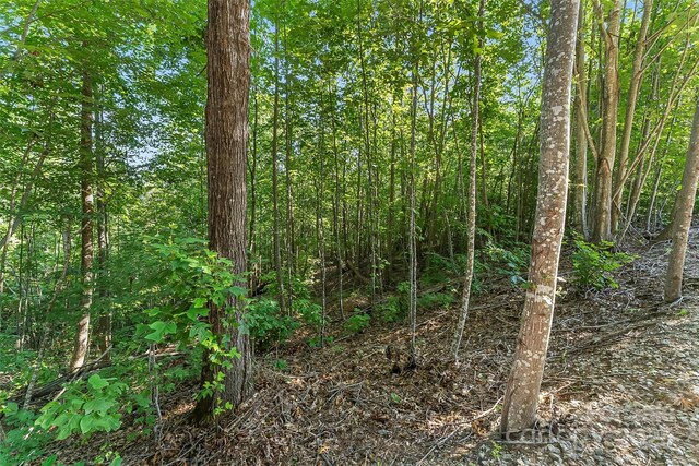 VL Horizon Drive, Nebo, NC 28761 - photo 6