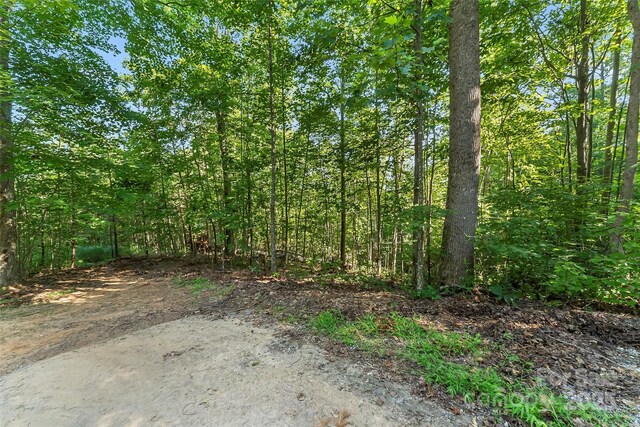 VL Horizon Drive, Nebo, NC 28761 - photo 8