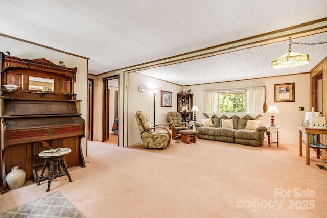 582 Lewis Branch Rd, Marshall, NC 28753 - photo 5