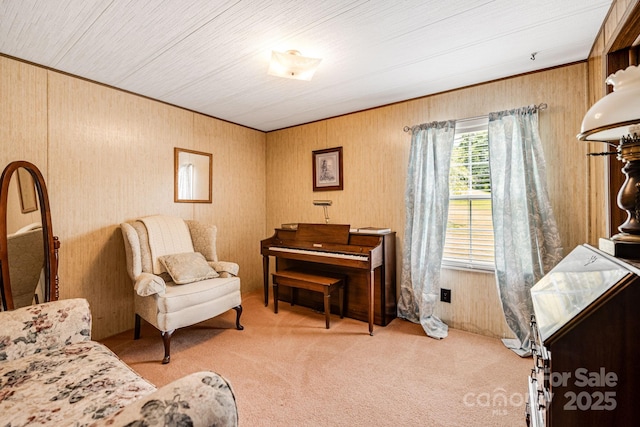 582 Lewis Branch Rd, Marshall, NC 28753 - photo 25