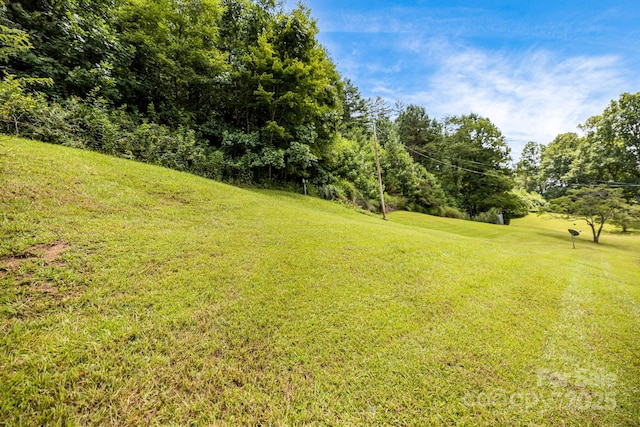582 Lewis Branch Rd, Marshall, NC 28753 - photo 36