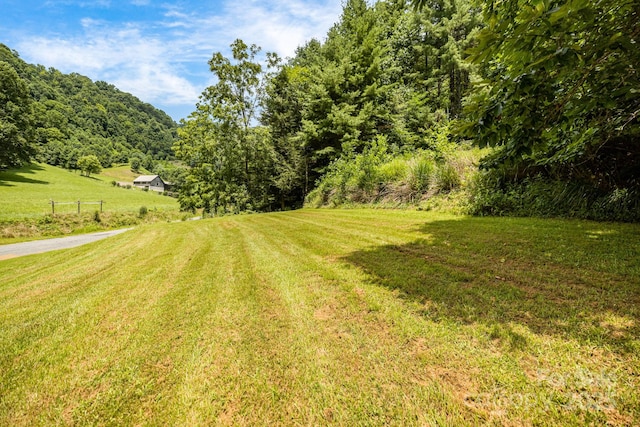 582 Lewis Branch Rd, Marshall, NC 28753 - photo 38