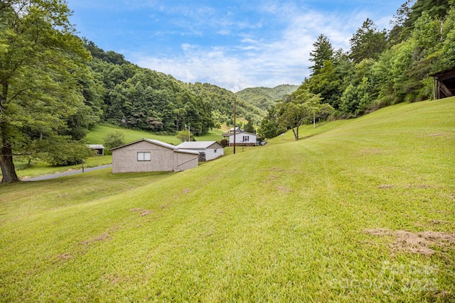 582 Lewis Branch Rd, Marshall, NC 28753 - photo 41