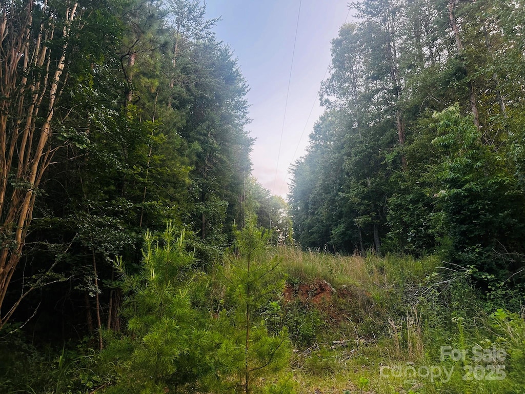 211 Luckadoo Rd, Bostic, NC 28018 - photo 4