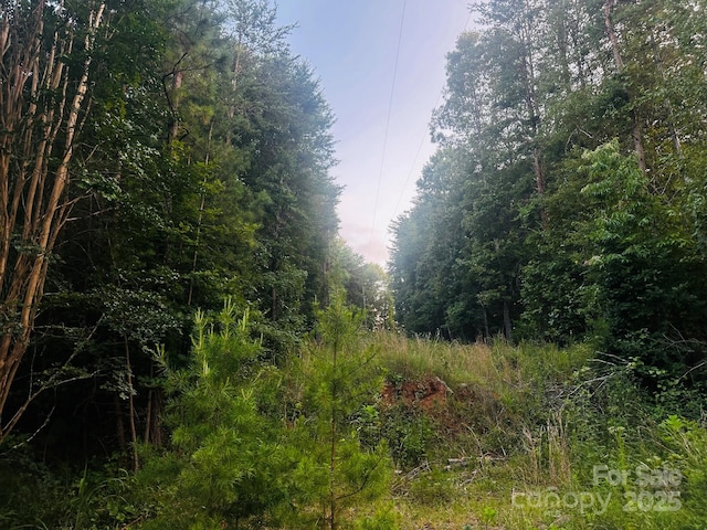 211 Luckadoo Rd, Bostic, NC 28018 - photo 4