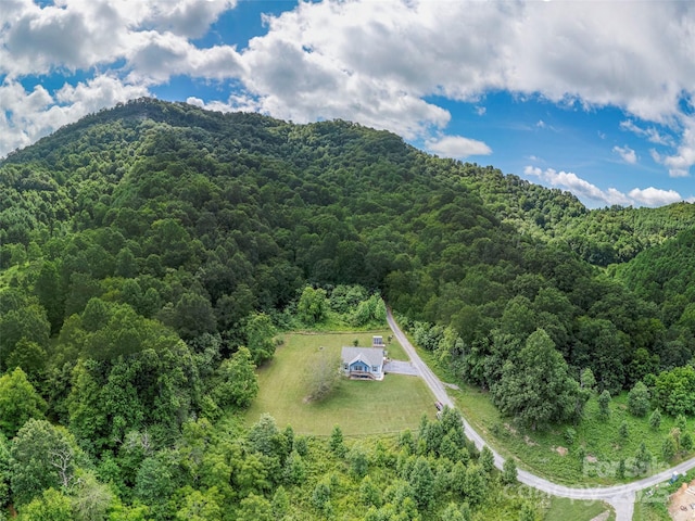 337 Split Pine Cv, Clyde, NC 28721 - photo 1