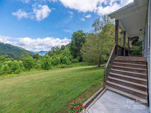 337 Split Pine Cv, Clyde, NC 28721 - photo 4